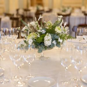 2025 Serata di gala, Teatro Romolo Valli, Reggio Emilia foto di |Nicola Gennari|